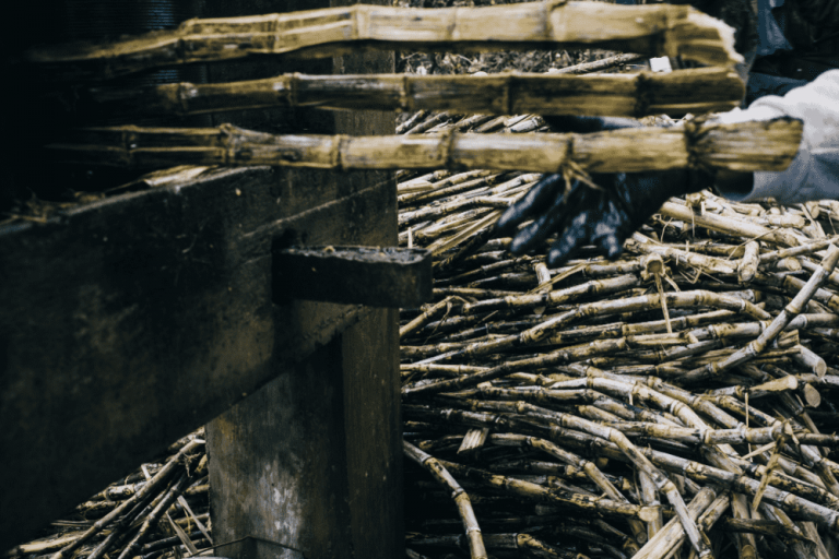 STJ decide pela legalidade de autorização para queima de palha da cana-de-açúcar pela agroindústria